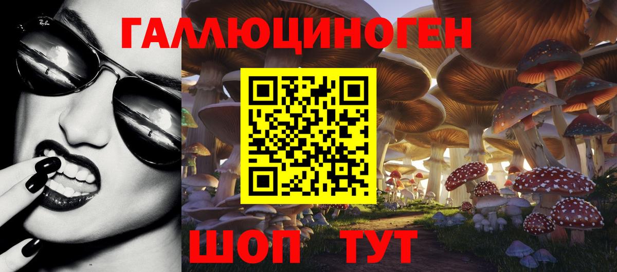 Беслан  Галлюциногенные грибы Cubensis  Вход с VPN 